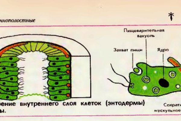 Какой кракен сейчас работает