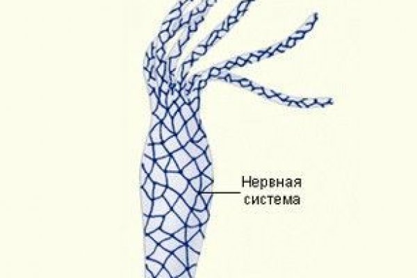 Кракен стор