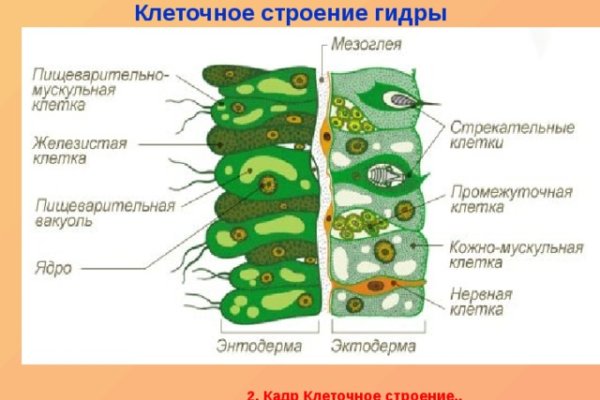 Darknet как войти