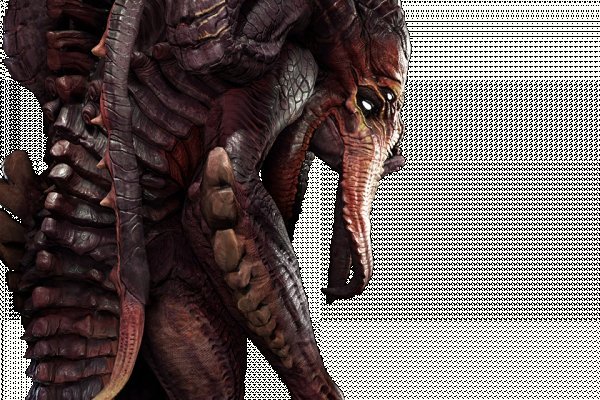 Kraken россия