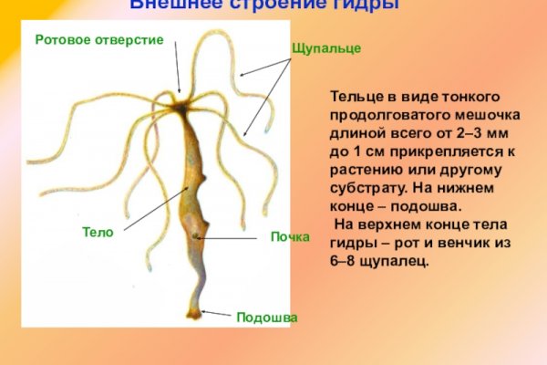 Кракен онион тор